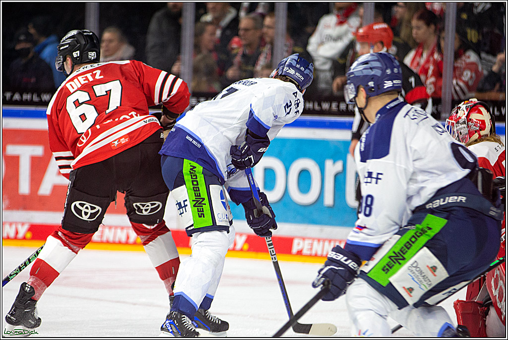 PENNY DEL; Koelner Haie- Straubing Tigers; Koeln, 28.12.2022